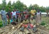 Benin: Promoting the Restoration of Forests to Foster Sustainable Fuelwood Production and Strengthen Climate Resilience