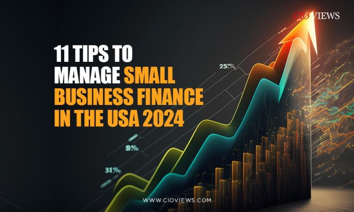 Small Business Finance in the USA